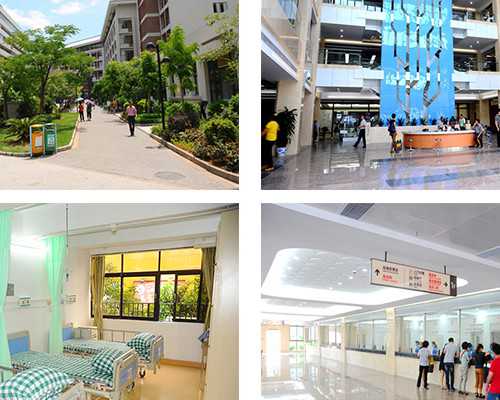 正规的代孕网,试管的费用什么时候交_试管婴儿什么时候交钱