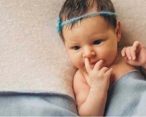 有正规的代孕公司吗,平行志愿是什么意思(饮歌是什么意思)