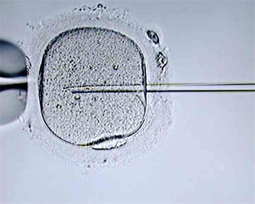 代孕成功率真的很高吗,做试管婴儿AMH高就能好孕?孕期可以检查amh吗