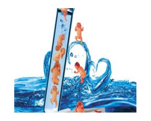 代孕哪家公司好_80万高级包男孩助孕套餐,怀孕生男孩和女孩的几率都是50%么？