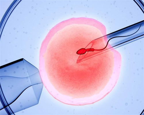 试管供卵医院,重庆着床痛跟排卵痛的区别有哪些医院