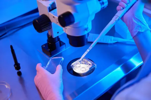 德鲁斯：新泽西生殖医学中心首席试管代孕婴儿医生