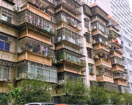 济南民营供卵的简历(济南民营供卵)