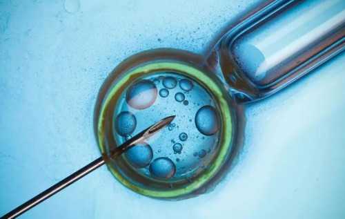 济南有供卵医院吗（山东试管成功率最高的医院）