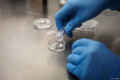 代生包生儿子吗_包性别包成功,产后吃哪些东西下奶又补气!费用明细如何!