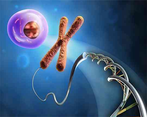 济南省妇幼保健院做试管怎么样？一次供卵试管费用多少？