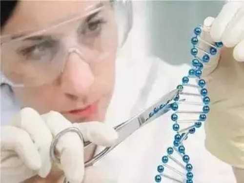 2026济南试管成功率较高的医院一览？附方法费用详解！