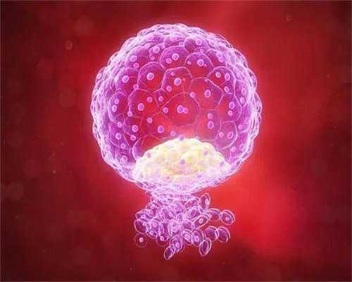 代生最权威，多久有胎心胎芽