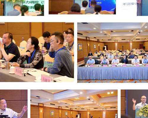 试管婴儿胚胎移植手术,试管婴儿胚胎移植时期