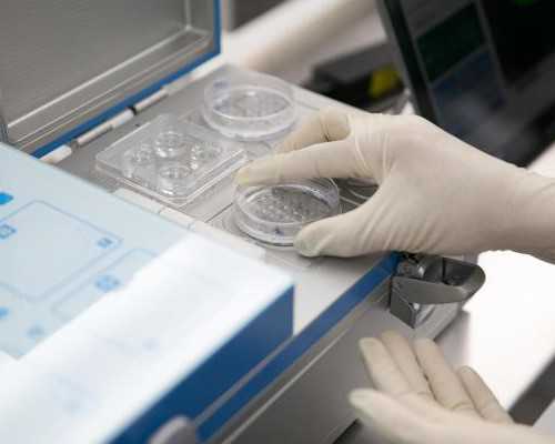 可选性别包成功_包成功助孕价格,自然流产后要几天时间孕囊会掉出来?