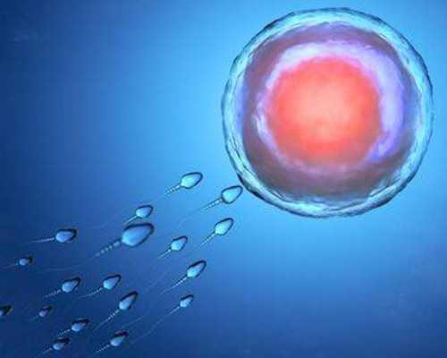 说了800遍，卵巢功能越低下，越不能做试管