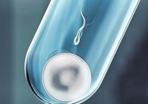 济南助孕混血儿,济南什么医院试管婴儿好,济南市做试管婴儿最好的医院!