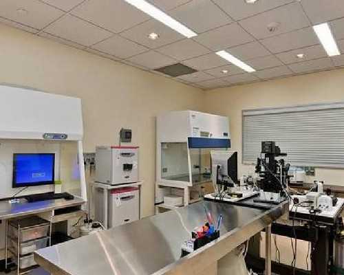 泰国试管丨进周促排后，多余的胚胎会如何处理？