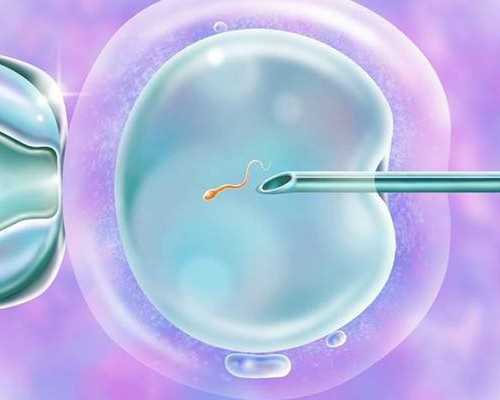 青岛供卵的机构在哪(为生男孩做试管)