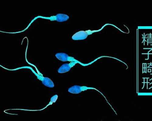 
              备孕助孕吃黄芪可以提高子宫和卵巢功能吗？
            