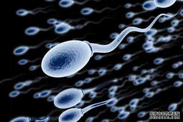 做试管代孕的必要条件-供卵试管几周可以做亲子鉴定_供卵试管生子正规中介